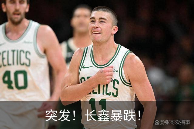 突发！长鑫暴跌！